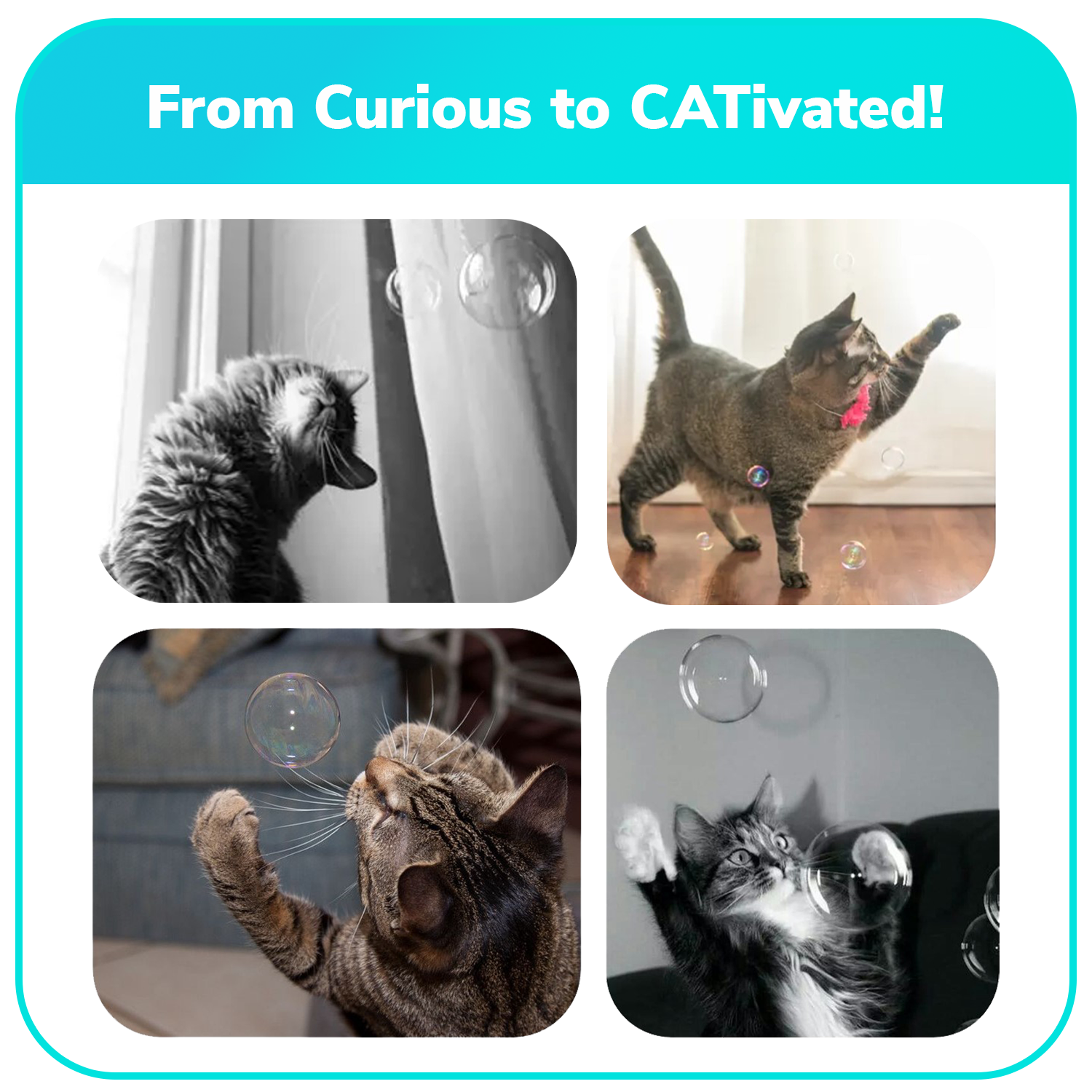 4 pk Box 2.5oz Bubble Lick Holiday Flavored Bubbles Peppermint Cocoa Gingerbread Eggnog USA Made