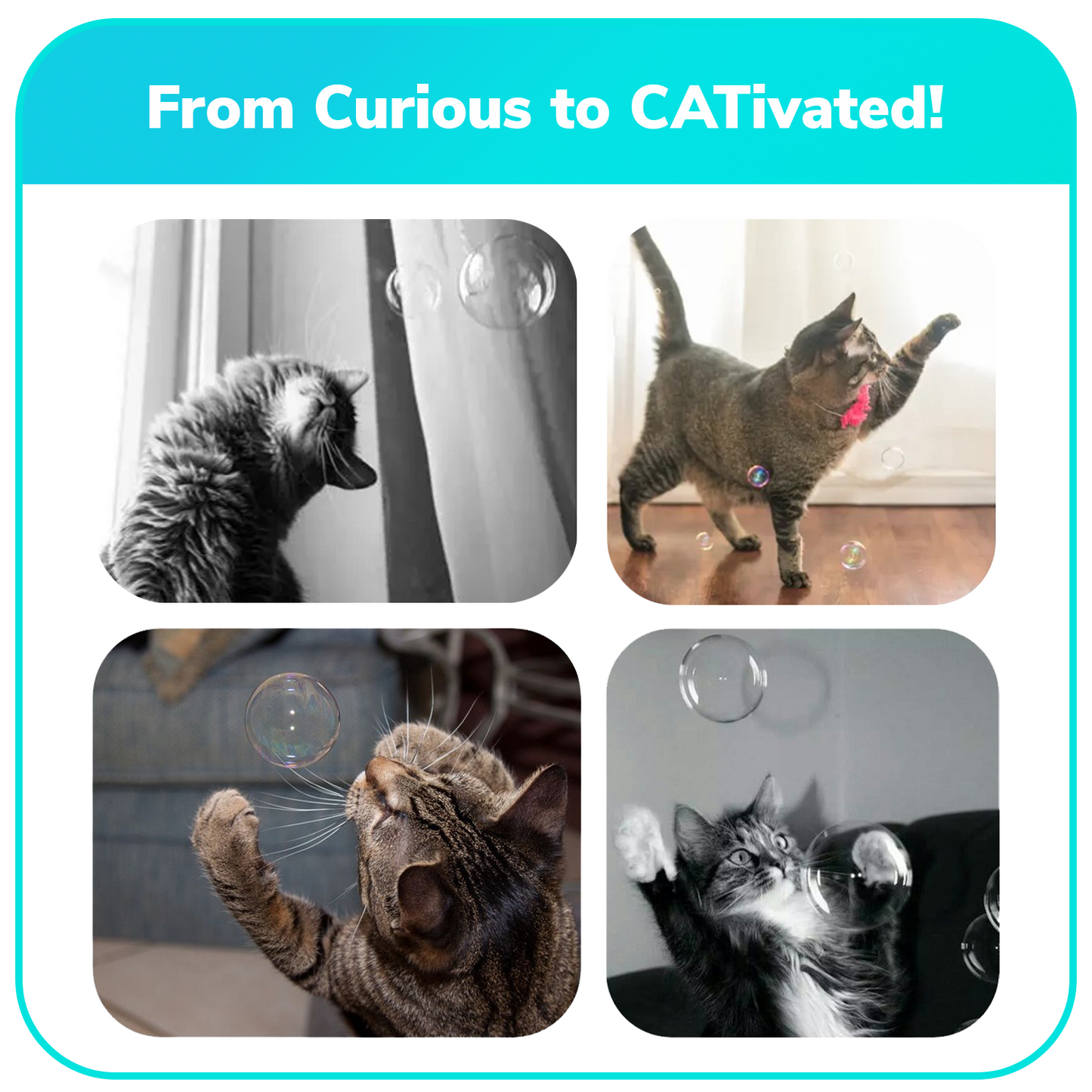 4 pk Box 2.5oz Bubble Lick Holiday Flavored Bubbles Peppermint Cocoa Gingerbread Eggnog USA Made