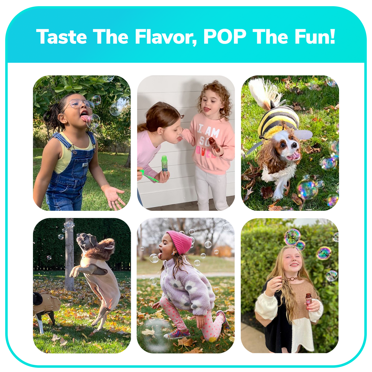 16 cnt PDQ Bubble Lick Ice Cream Collection Cookie Dough, Mint Chocolate Chip, Strawberry & Vanilla Flavored Bubbles