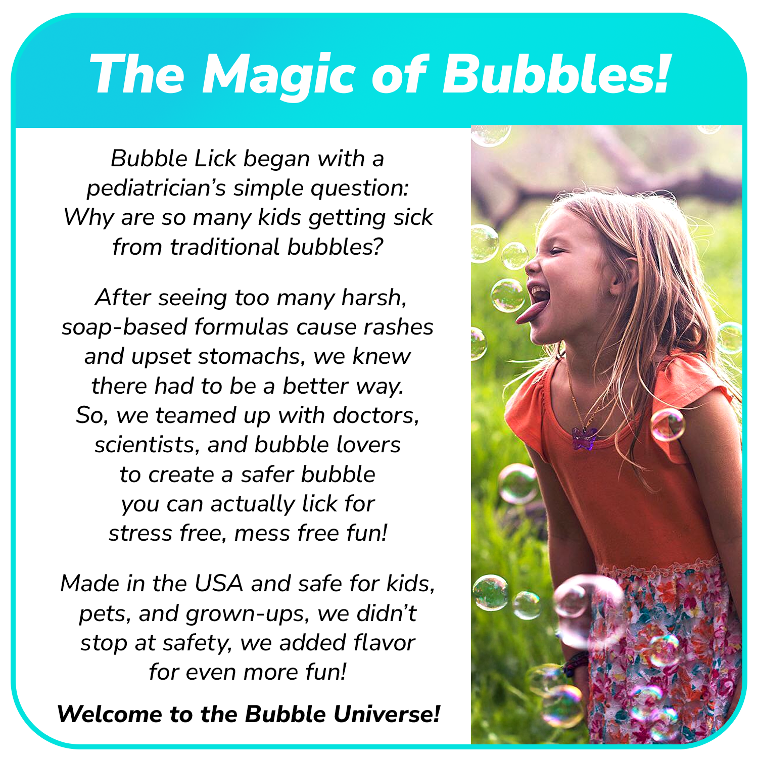 4 pk Box 2.5oz Bubble Lick Holiday Flavored Bubbles Peppermint Cocoa Gingerbread Eggnog USA Made