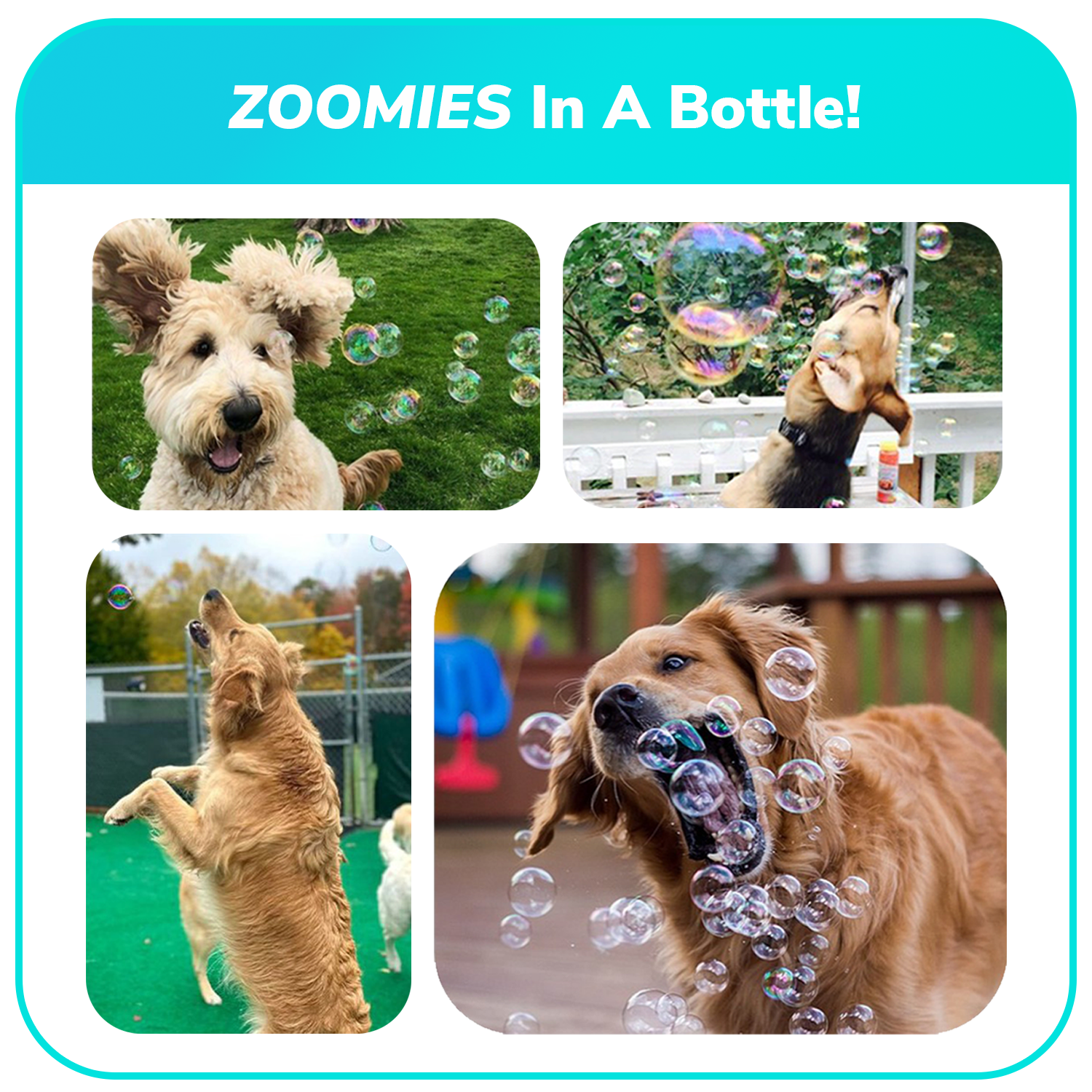 4 pk Box 2.5oz Bubble Lick Holiday Flavored Bubbles Peppermint Cocoa Gingerbread Eggnog USA Made