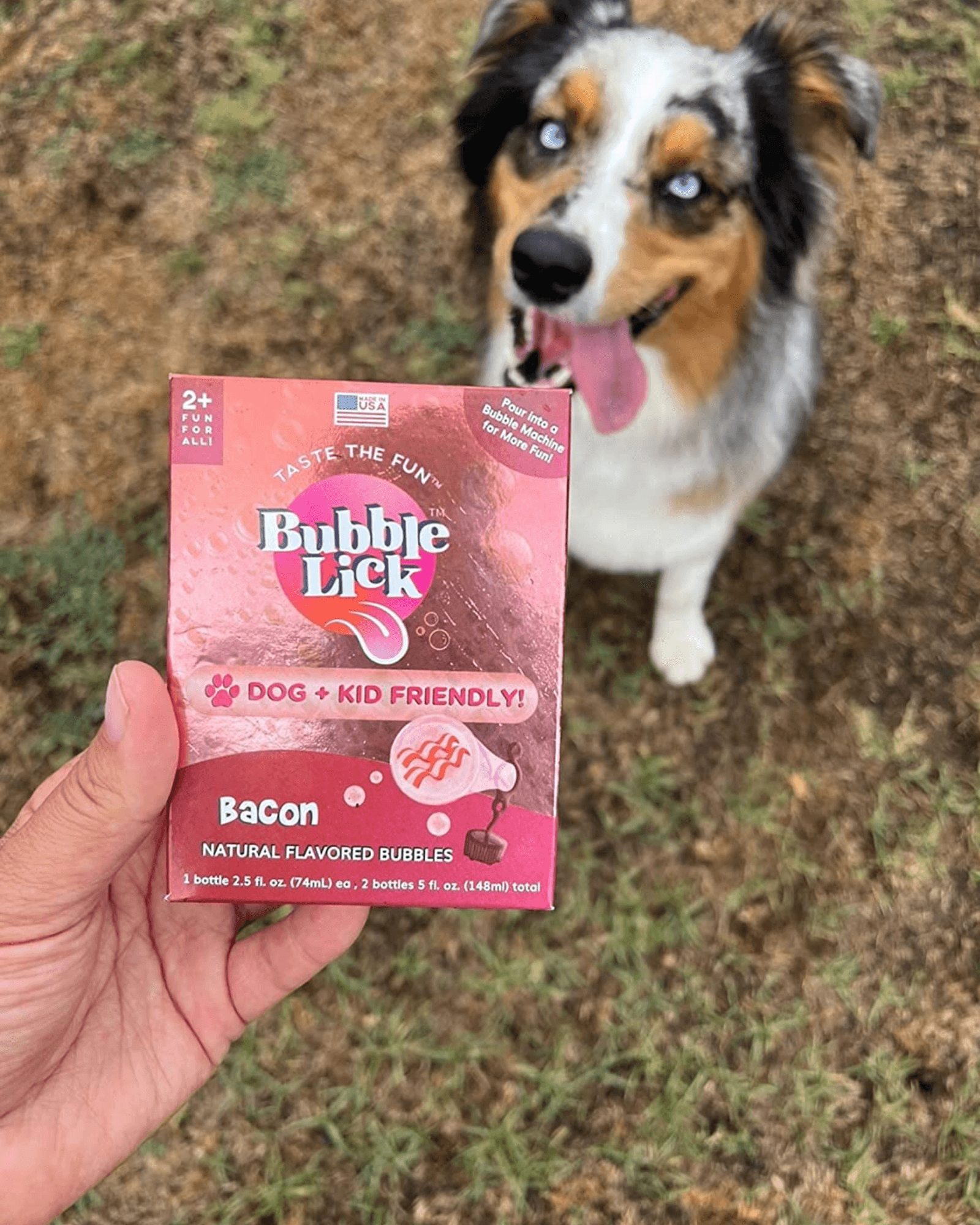 BubbleLick Maple Bacon (2 Pack) – Bubble Universe