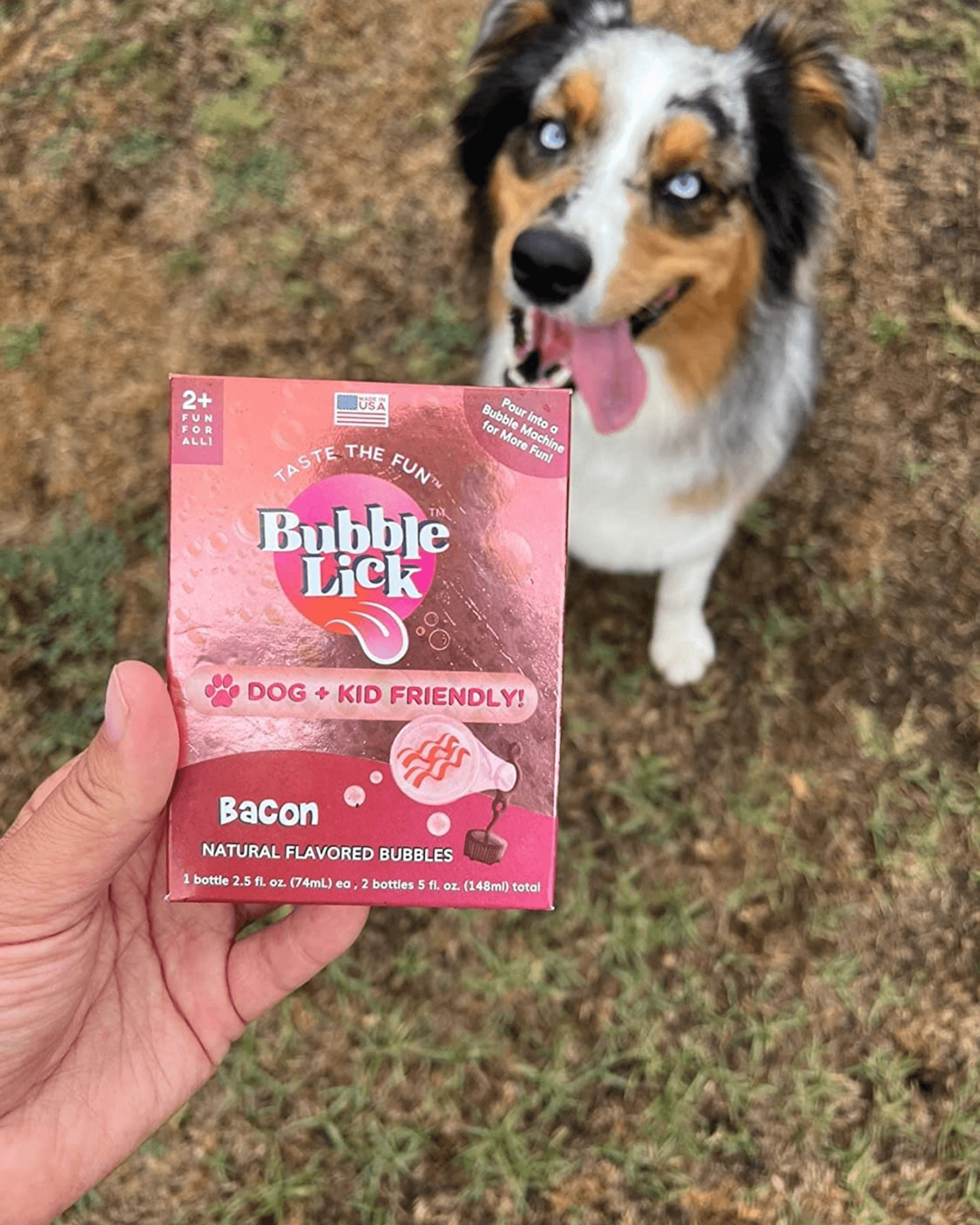 Bubblelick Maple Bacon 2 Pack